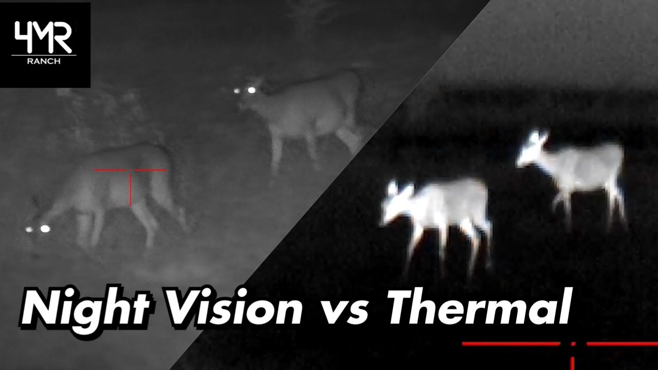 Why you should have a Night Vision Scope or Thermal Scope